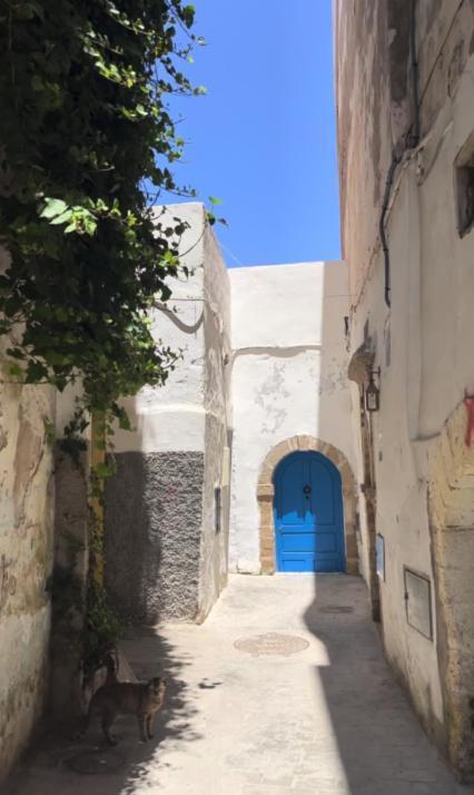 Riad Petite Reverie Эс-Сувейра Экстерьер фото